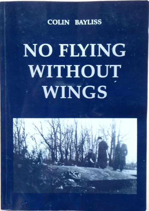 No Flying Without Wings
